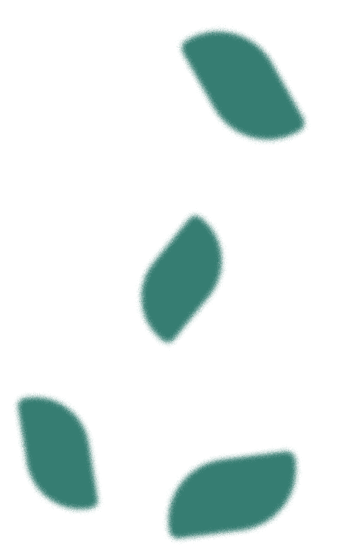 Decorative petal background