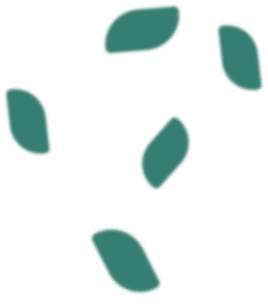 Decorative petal background